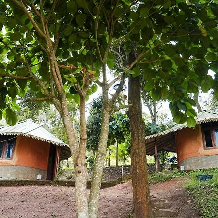 Punarjani Ayurvedic Resorts Ramakkalmedu Kültér fotó