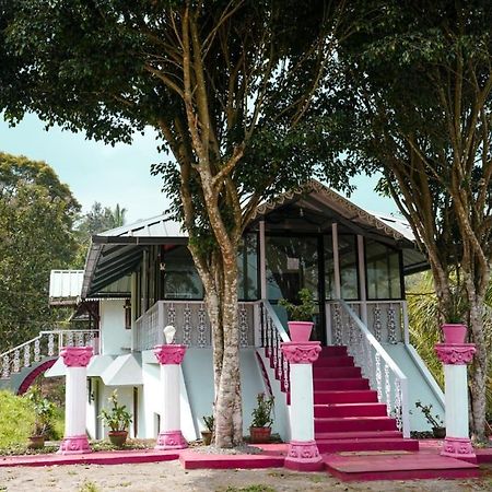 Punarjani Ayurvedic Resorts Ramakkalmedu Kültér fotó