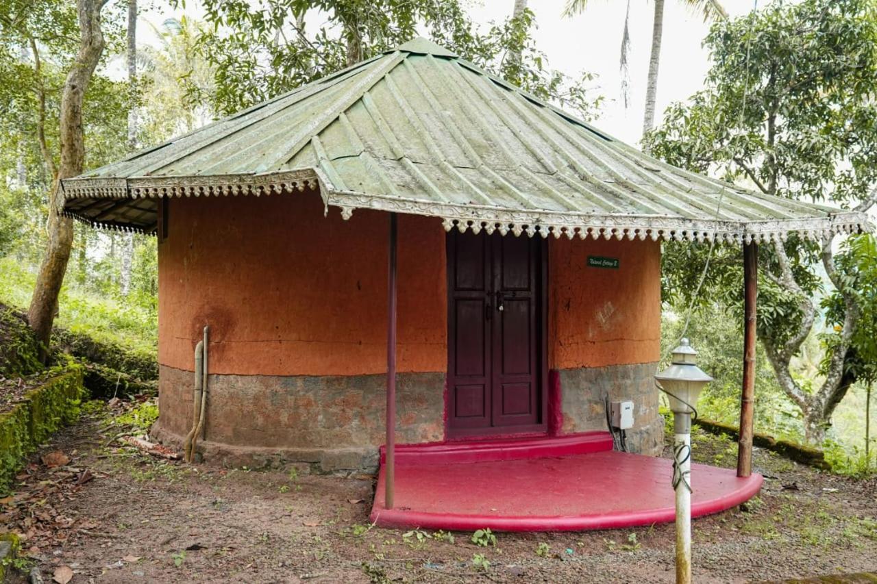Punarjani Ayurvedic Resorts Ramakkalmedu Kültér fotó